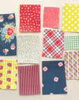 2025 Patchwork Panel Club